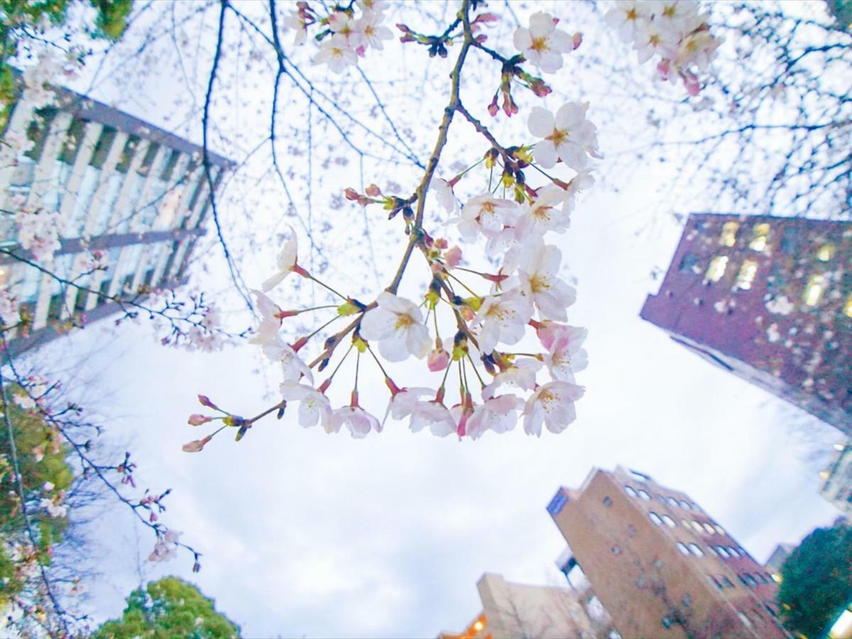 Hotell Henn Na Ginza 3*